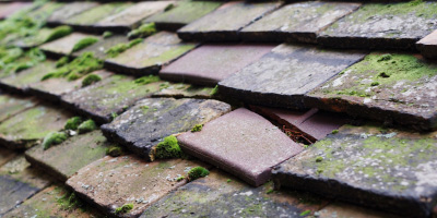 Church Langton roof repair costs
